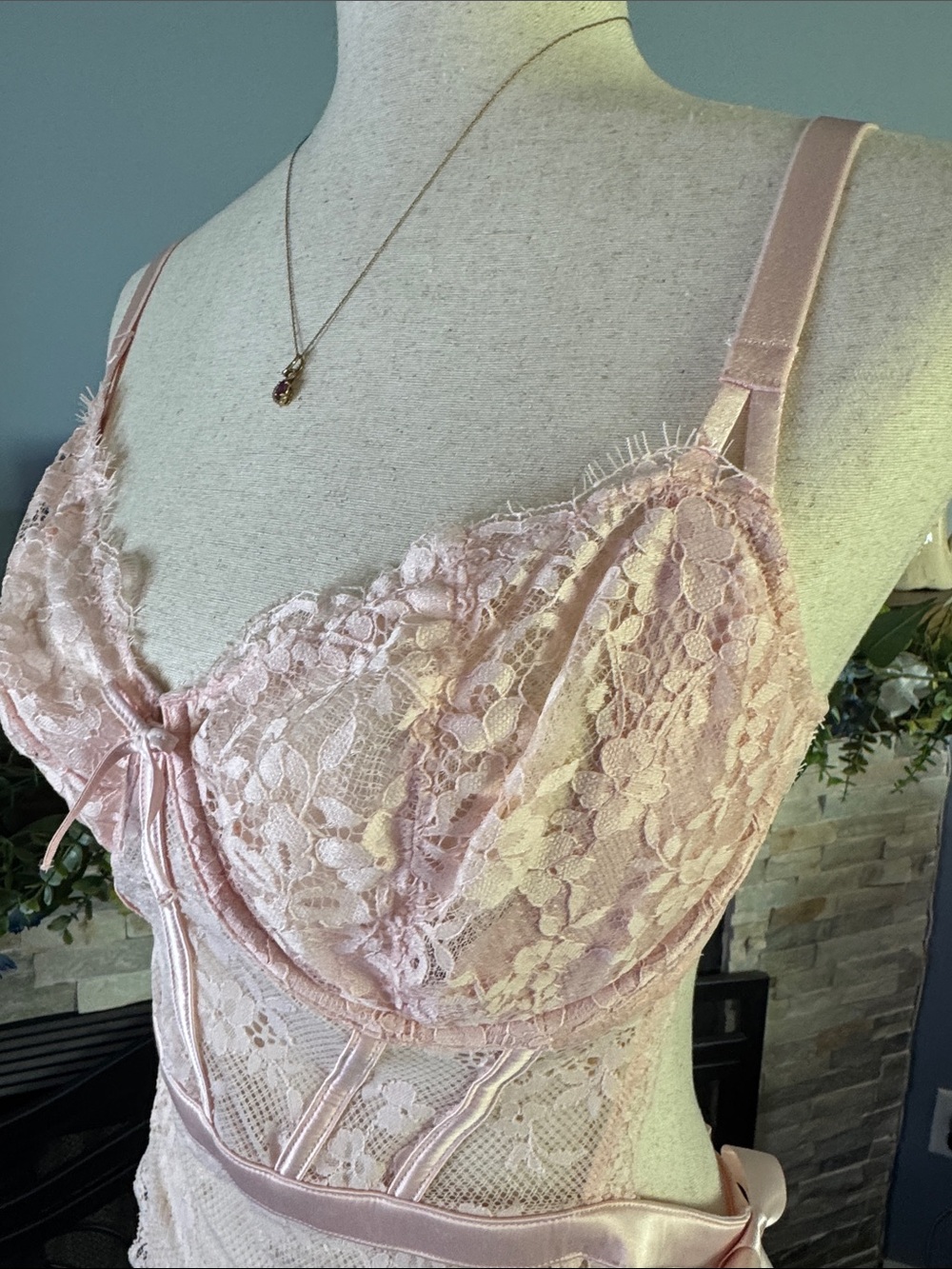 Victoria's Secret Pink Eyelash Lace Corset Teddy Bodysuit NWT XL - Picture 13 of 13